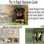 Pet Portrait Artists Web Design Cost in Dodoma, Tanzania: Essential Pricing Insights for Local Entrepreneurs and Small Business Owners