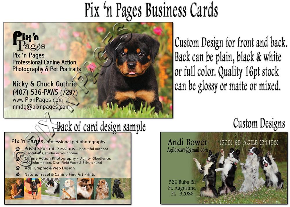 Pet Portrait Artists Web Design Cost in Dodoma, Tanzania: Essential Pricing Insights for Local Entrepreneurs and Small Business Owners