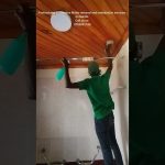 Affordable Mold Remediation & Web Design Costs in Nairobi, Kenya: Your Guide to Quality Services
