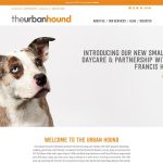 Affordable Web Design Costs for Dog Boarding Franchises in Cape Town, South Africa: Boost Your Business Online