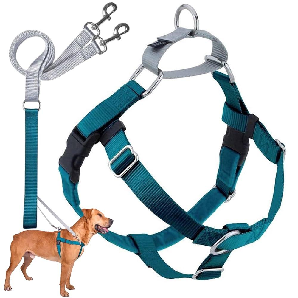 Affordable Pet Leash & Harness Brands Web Design Cost in Dodoma, Tanzania: Boost Your Business Visibility Today