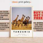Ultimate Guide to Pet DNA Testing Services Web Design Cost in Dodoma, Tanzania: Boost Your Business Investment