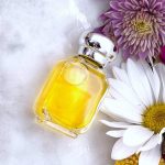 Affordable Handmade Perfumes & Web Design Costs in Cape Town, South Africa: A Guide to Unique Fragrance and Digital Branding
