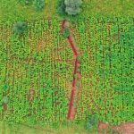 Unlock the True Cost of Real Estate Drone Videography Web Design in Dodoma, Tanzania: Essential Pricing Insights for Entrepreneurs and Small Business Owners