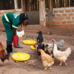 Affordable Web Design for Local Farm Co-ops in Kampala: Cost & Benefits Explained