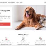 Affordable Web Design for Exotic Pet Sitting Services in Nairobi, Kenya: Boost Your Business Today