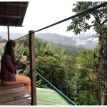 Discover the True Cost of Language Immersion Travel Web Design in Dodoma, Tanzania: Essential Insights for Entrepreneurs and Small Business Owners