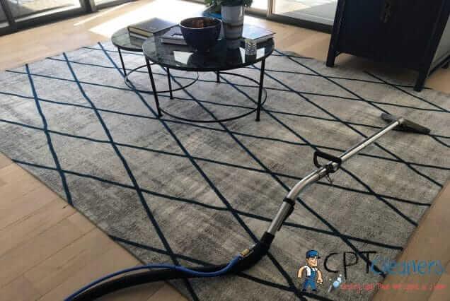 Affordable Carpet Cleaning Web Design Costs in Cape Town, South Africa: Boost Your Business Today