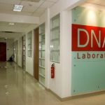 Affordable DNA Testing Services & Web Design Costs in Lagos, Nigeria: Your Complete Guide