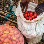 Affordable Web Design Costs for Health Foods & Supplements Businesses in Kigali, Rwanda: Boost Your Brand Online