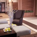 Affordable Pet Hotels Web Design in Lagos, Nigeria: Costs & Tips to Boost Your Business