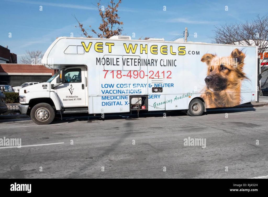 Affordable Mobile Vets Web Design Costs in Nairobi, Kenya: Boost Your Vet Clinic’s Online Presence