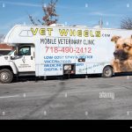 Affordable Mobile Vets Web Design Costs in Nairobi, Kenya: Boost Your Vet Clinic’s Online Presence
