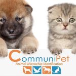 Affordable Web Design Costs for Pet Microchipping Services in Cape Town, South Africa: Enhance Your Pet Safety Today