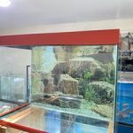 Affordable Aquarium Installation & Web Design Costs in Nairobi, Kenya: Complete Guide to Services & Pricing