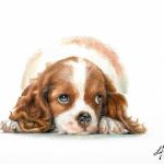 Affordable Pet Portrait Artists & Web Design Costs in Nairobi, Kenya: Your Guide to Stunning Art & Digital Solutions