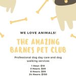 Pet Talent Scouts Web Design Cost in Kampala, Uganda: Affordable & Professional Solutions
