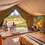 Affordable Web Design for Glamping Sites in Nairobi, Kenya: Costs & Tips to Boost Your Business