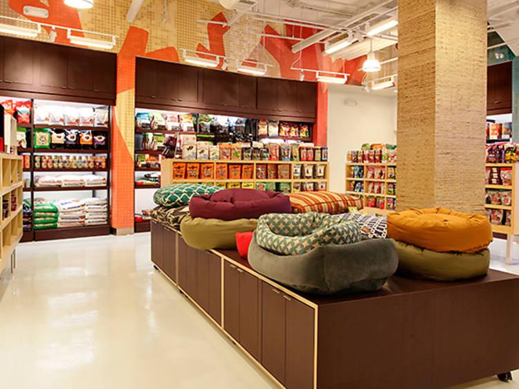 Affordable Web Design Costs for Pet Supply Stores in Cape Town, South Africa
