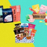 Ultimate Guide to Pet Subscription Boxes Web Design Cost in Dodoma, Tanzania: Unlocking Affordable Website Pricing for Entrepreneurs