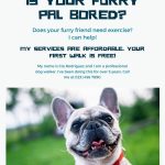 Affordable Web Design for Dog Walkers in Kigali, Rwanda: Pricing & Tips