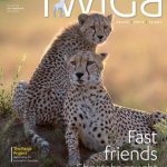 Pet Talent Scouts Web Design Cost in Dodoma, Tanzania: Affordable Pricing for Entrepreneurs & Small Business Success