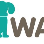 Affordable Web Design Costs for Pet First Aid Trainers in Kigali, Rwanda: Boost Your Business Online