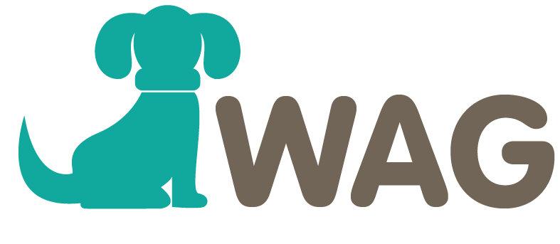Affordable Web Design Costs for Pet First Aid Trainers in Kigali, Rwanda: Boost Your Business Online