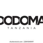 International Food Stores Web Design Cost in Dodoma, Tanzania: Affordable Website Solutions for Local Entrepreneurs