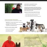 Affordable Dog Agility Instructors Web Design Cost in Dodoma, Tanzania: Boost Your Business with Custom Website Pricing