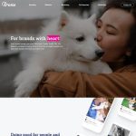 Affordable Web Design for Pet Influencers in Cape Town: Boost Your Brand Without Breaking the Bank