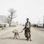 Pet Portrait Artists in Lagos: Affordable Web Design Costs & Tips for Pet Portrait Artists Nigeria