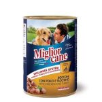 Affordable Web Design Costs for Wholesale Pet Supplies Stores in Nairobi, Kenya