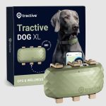 Affordable Pet Tracker Brands Web Design Cost in Dodoma, Tanzania: A Guide for Entrepreneurs & Small Business Owners