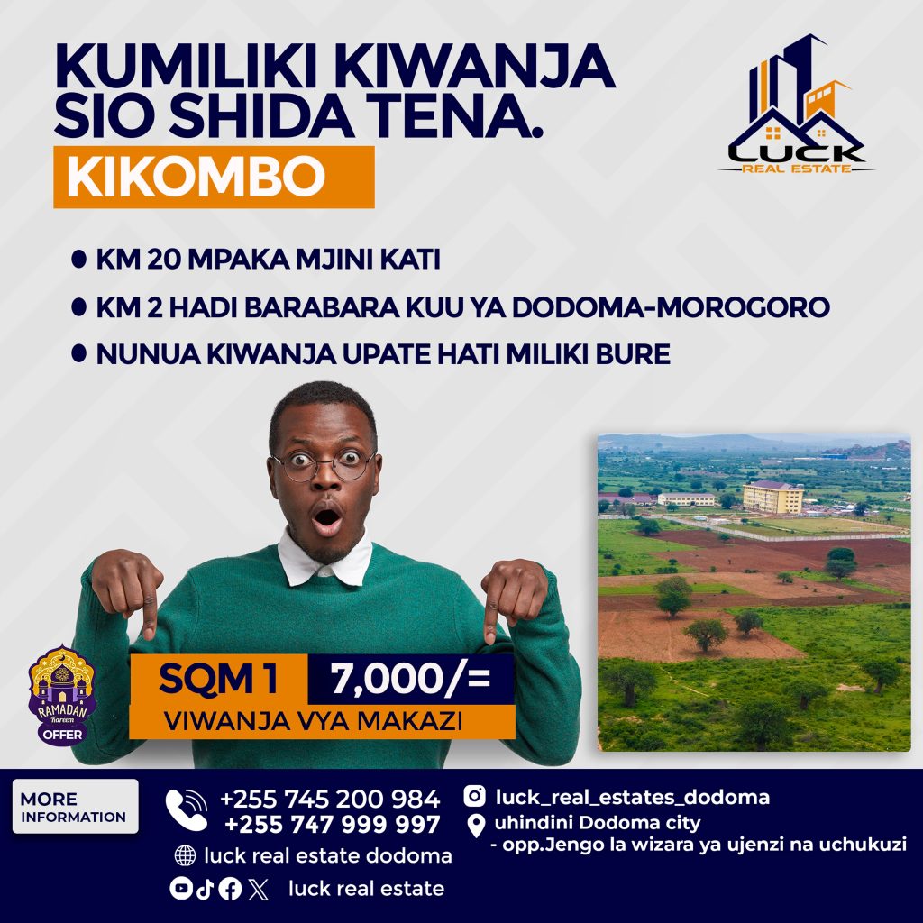 How Much Does Real Estate Legal Services Web Design Cost in Dodoma, Tanzania? A Guide for Entrepreneurs and Small Business Owners