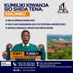 How Much Does Real Estate Legal Services Web Design Cost in Dodoma, Tanzania? A Guide for Entrepreneurs and Small Business Owners