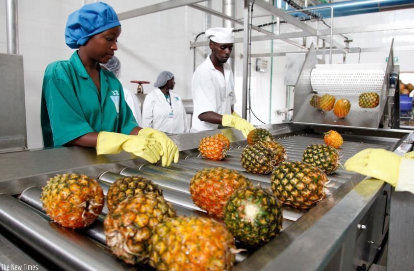 Affordable Web Design Costs for Wholesale Food Processing Equipment Companies in Kigali, Rwanda