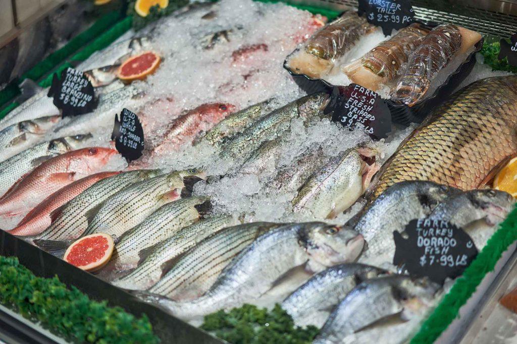 Affordable Fishmongers Web Design in Lagos, Nigeria: Costs & Tips to Boost Your Business Growth