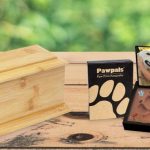 Affordable Pet Cremation Services & Web Design Costs in Lagos, Nigeria: Your Guide to Compassionate Care and Digital Presence