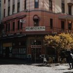 Affordable Web Design for Pet Cafés in Cape Town: Boost Your Business Today