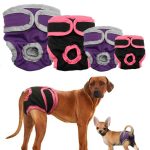 Affordable Web Design Costs for Pet Clothing Brands in Kigali, Rwanda: Boost Your Business Today