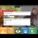 Affordable Animal Shelters Web Design Cost in Dodoma, Tanzania: Essential Guide for Entrepreneurs & Small Business Owners