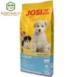 Affordable Web Design Costs for Pet Treat Bakers in Nairobi, Kenya: Boost Your Business Online
