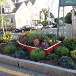 Affordable Garden Maintenance & Web Design Costs in Cape Town: Your Complete Guide