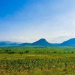 How Much Does Web Design Cost for Wholesale Packaging Materials in Dodoma, Tanzania? A Guide for Entrepreneurs and Small Business Owners