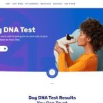 Affordable DNA Testing Services Web Design Cost in Dodoma, Tanzania: Boost Your Business with Expert Website Solutions