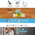 Affordable Web Design Costs for Pet Subscription Box Businesses in Cape Town, South Africa: Boost Your Brand Today