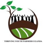 Affordable Web Design Costs for Volunteer Matching Platforms in Kampala, Uganda: Boosting Impact & Engagement