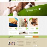 Affordable Web Design for Handmade Pet Accessories Businesses in Kampala, Uganda