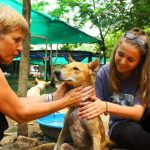 Affordable Pet App Development & Web Design Costs in Kampala, Uganda: A Guide for Pet Business Owners